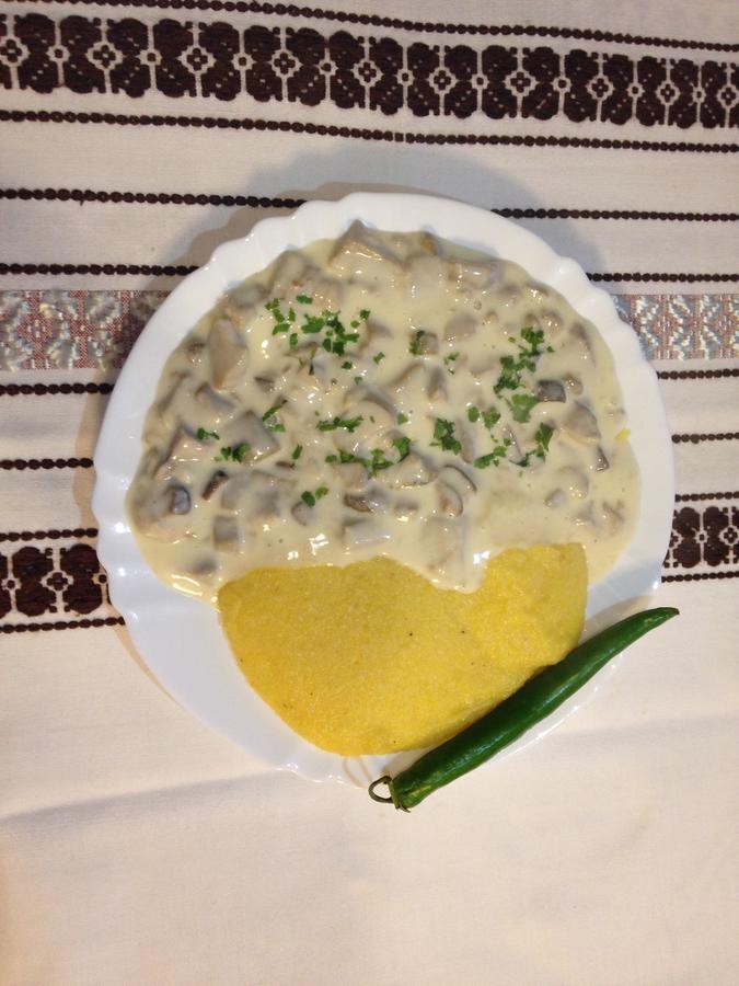 Willa Casa Bunicii Din Bucovina Vama  Zewnętrze zdjęcie